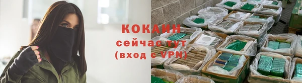 гидра Бронницы