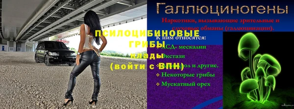 гашик Волоколамск