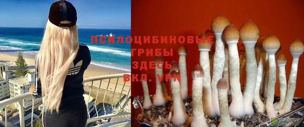 Альфа ПВП Володарск