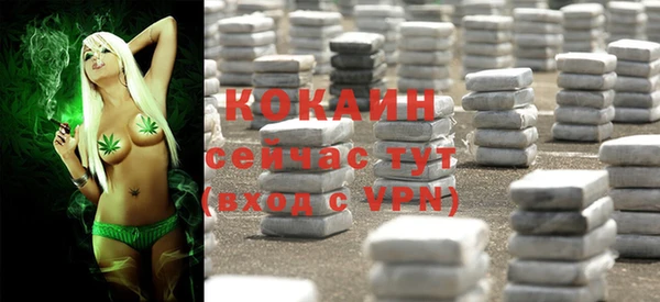 гашик Волоколамск
